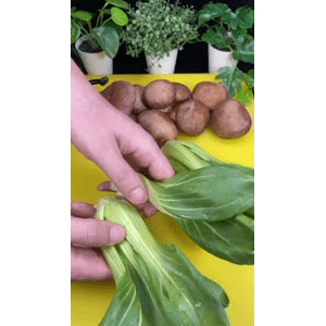 美食菜系做法21353