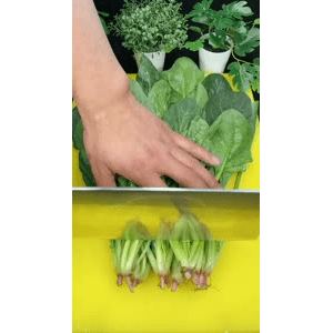 美食菜系做法21374