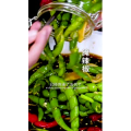 美食菜系做法21654