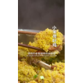 美食菜系做法21675