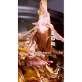 美食菜系做法21876