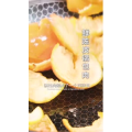 美食菜系做法22026