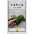 生活小妙招282