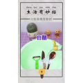 生活小妙招300