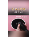 生活小妙招400