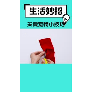 生活小妙招503