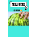 生活小妙招533