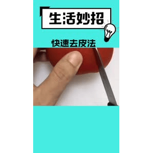 生活小妙招544