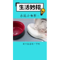生活小妙招547