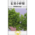 生活小妙招679