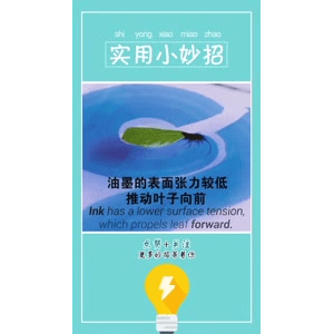 生活小妙招708
