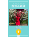 生活小妙招740