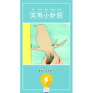 生活小妙招741