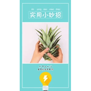 生活小妙招754