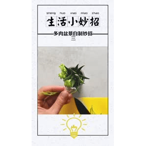 生活小妙招840