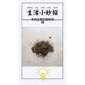 生活小妙招846