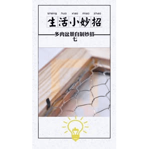 生活小妙招858