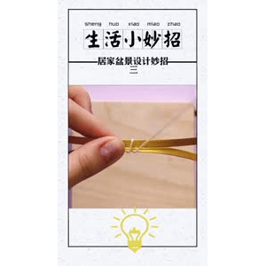 生活小妙招866