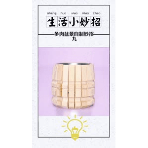 生活小妙招869