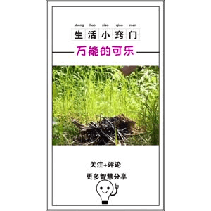 生活小妙招920