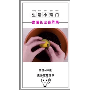 生活小妙招925
