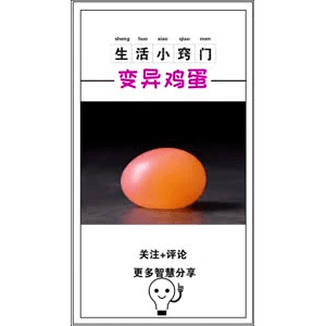 生活小妙招931