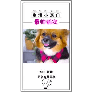 生活小妙招968