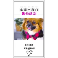 生活小妙招968