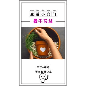 生活小妙招970