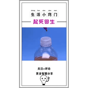 生活小妙招971