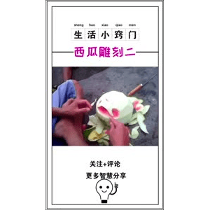 生活小妙招974