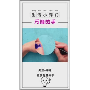 生活小妙招993