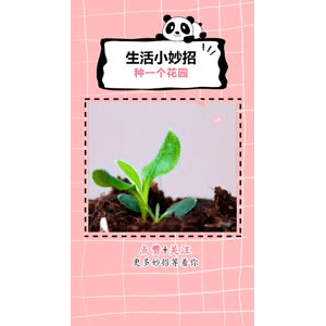 生活小妙招1134