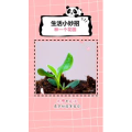 生活小妙招1134