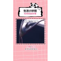 生活小妙招1232