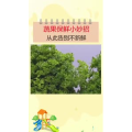 生活小妙招2411