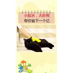 生活小妙招2412