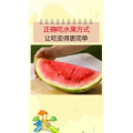 生活小妙招2415