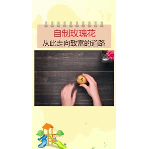 生活小妙招2433