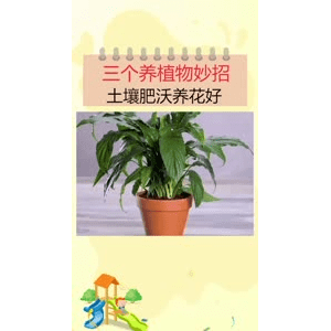 生活小妙招2439