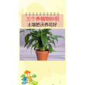 生活小妙招2439