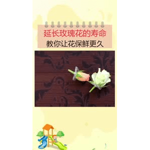 生活小妙招2440