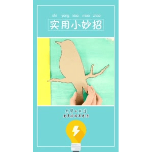 生活小妙招2549