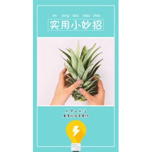 生活小妙招2567