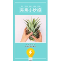 生活小妙招2567