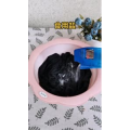 生活小妙招2818