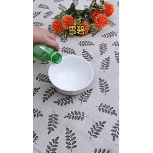 生活小妙招2833