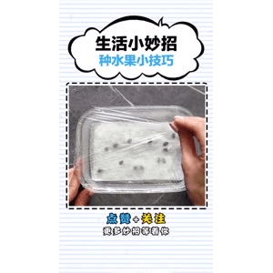 生活小妙招2932