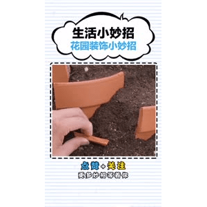 生活小妙招2950