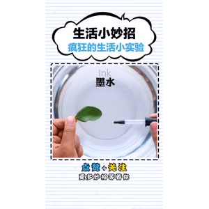 生活小妙招2976